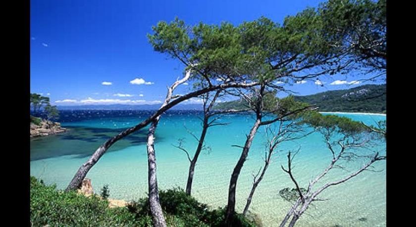 Petit Coin De Paradis Les Pieds Dans L'Eau La Londe-les-Maures Exteriör bild